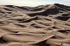 Chegaga dunes